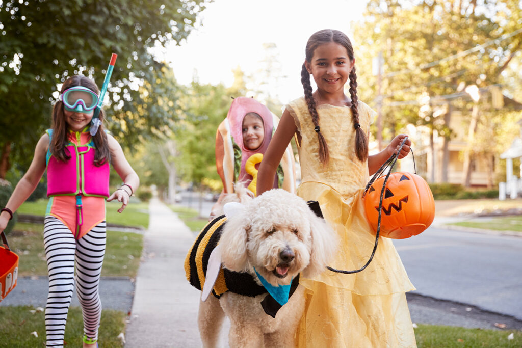 kids trick or treating with white dog