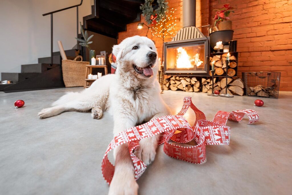 white dog playing with decorations